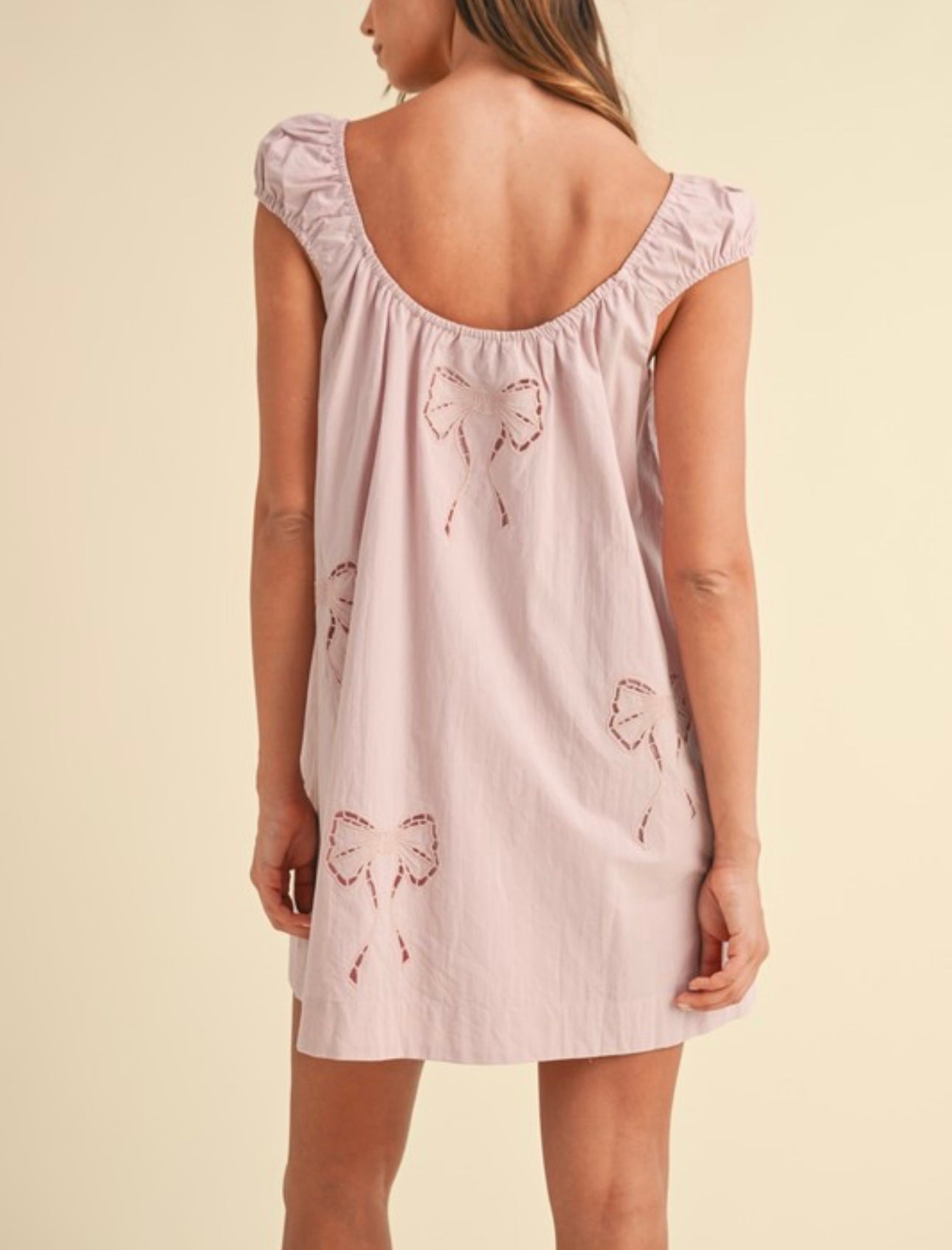 Bow Embroidered Mini Dress