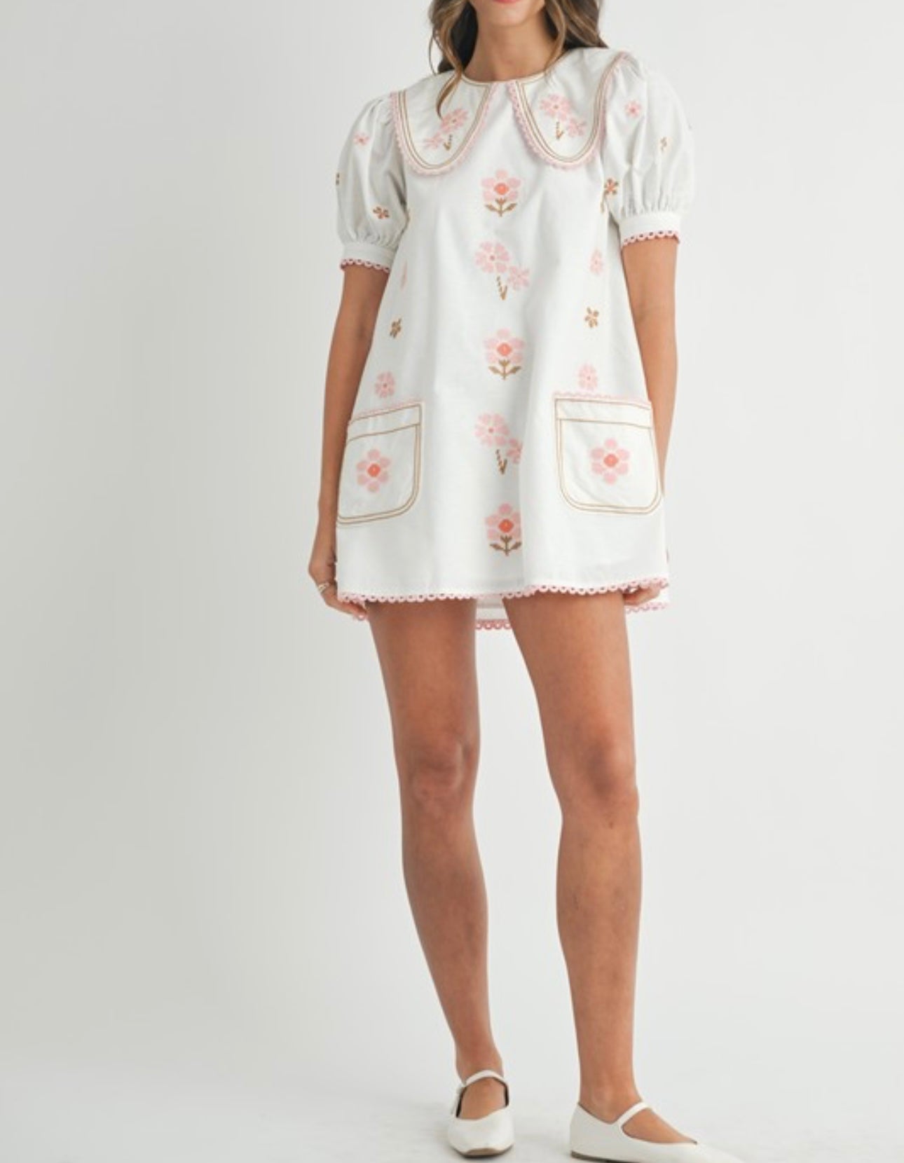 Floral Embroidered Peter Pan Collar Mini Dress