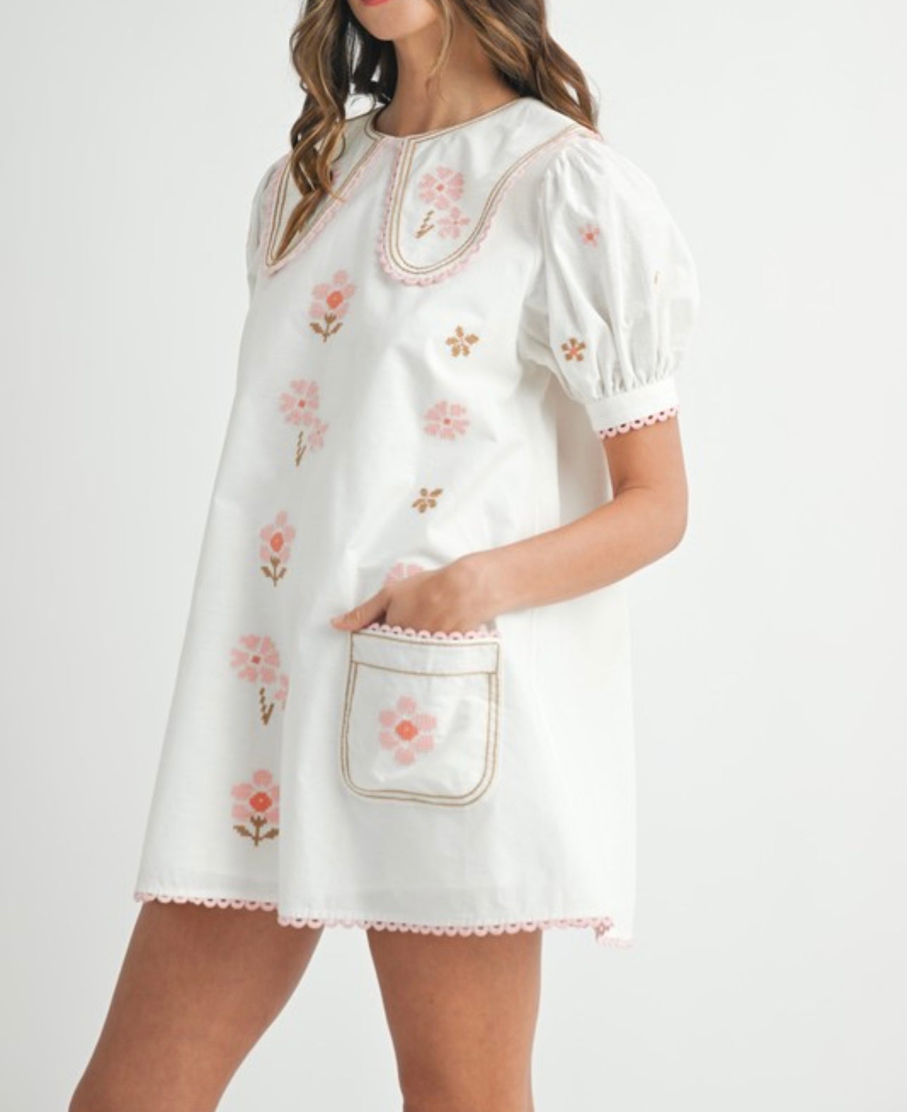 Floral Embroidered Peter Pan Collar Mini Dress