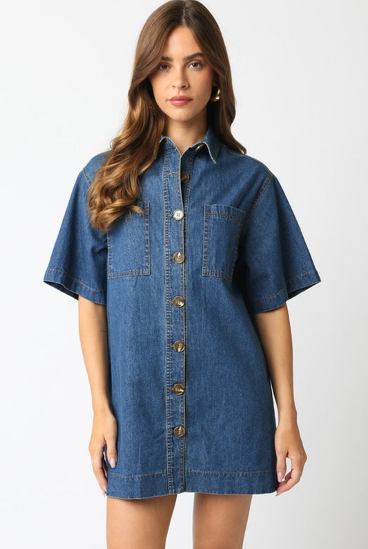 Ainsley Denim Mini Dress