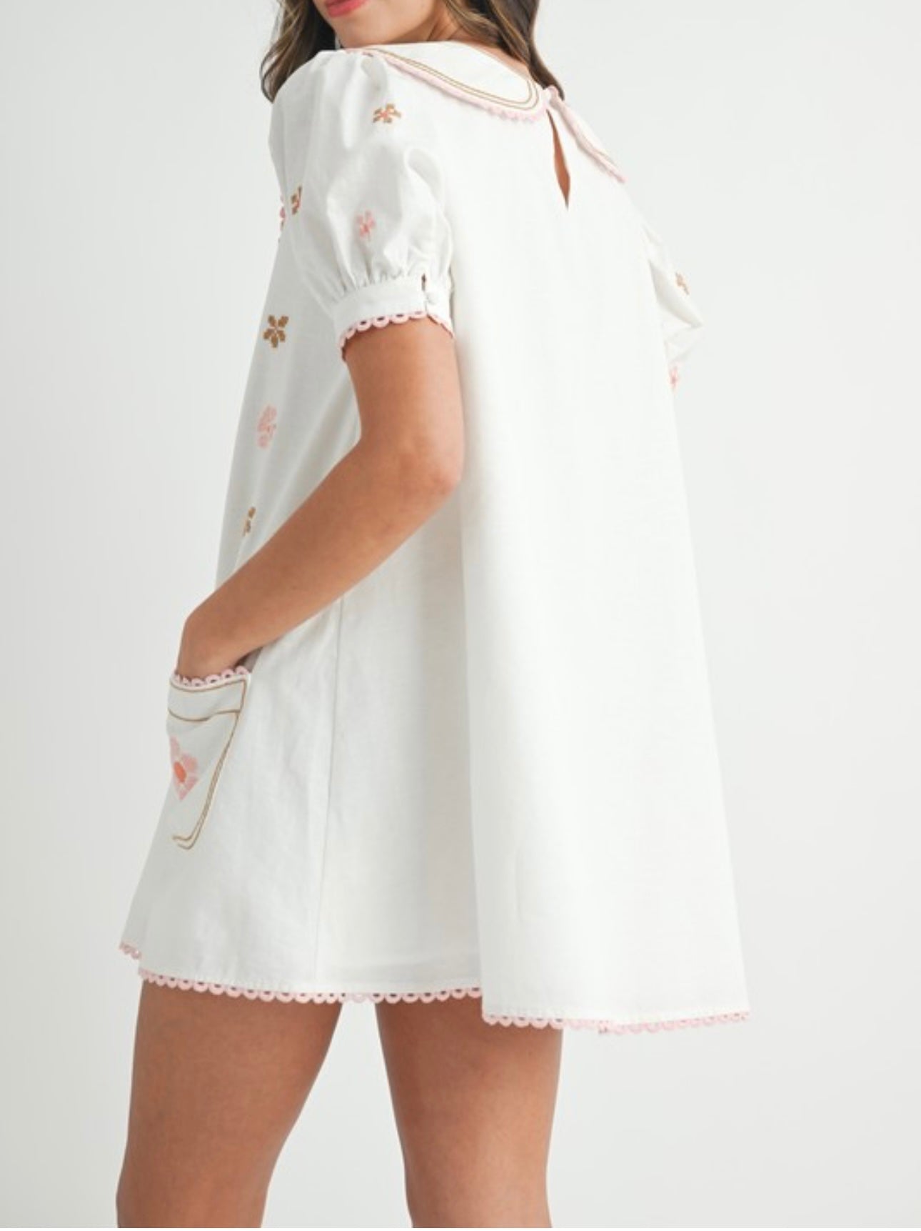 Floral Embroidered Peter Pan Collar Mini Dress